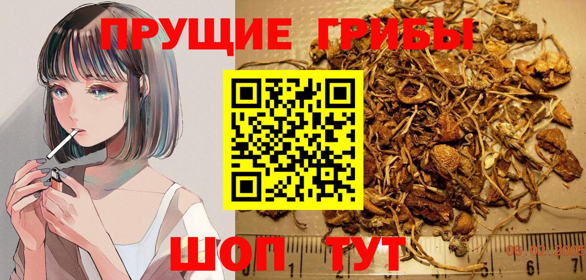Галлюциногенные грибы мухоморы  Псилоцибиновые грибы Psilocybine cubensis  Вход с VPN  Карачаевск 