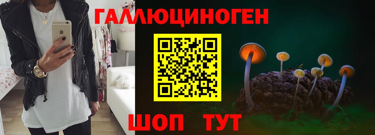 Псилоцибиновые грибы GOLDEN TEACHER Карачаевск